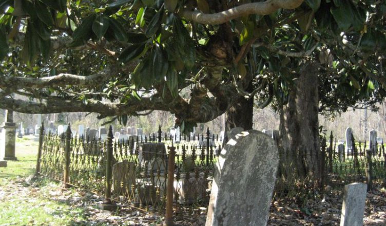 Photo of the cemetery